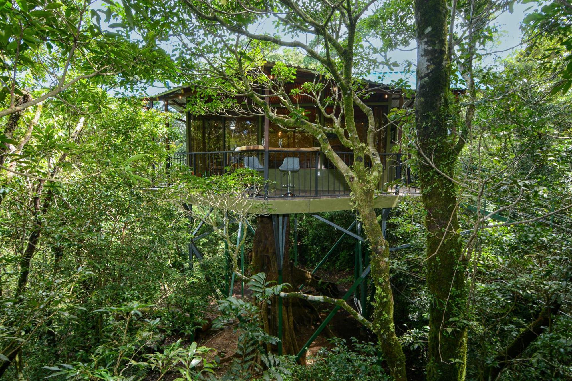 Cabanas La Montana Monteverde Exterior photo