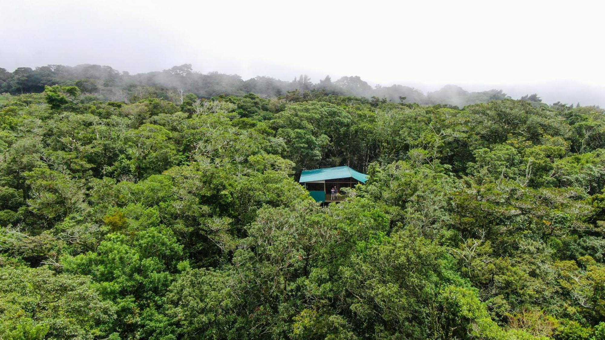 Cabanas La Montana Monteverde Exterior photo