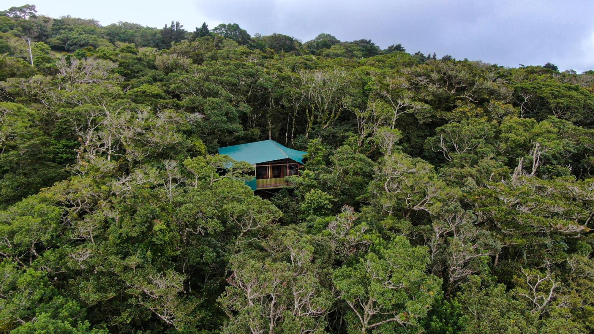 Cabanas La Montana Monteverde Exterior photo