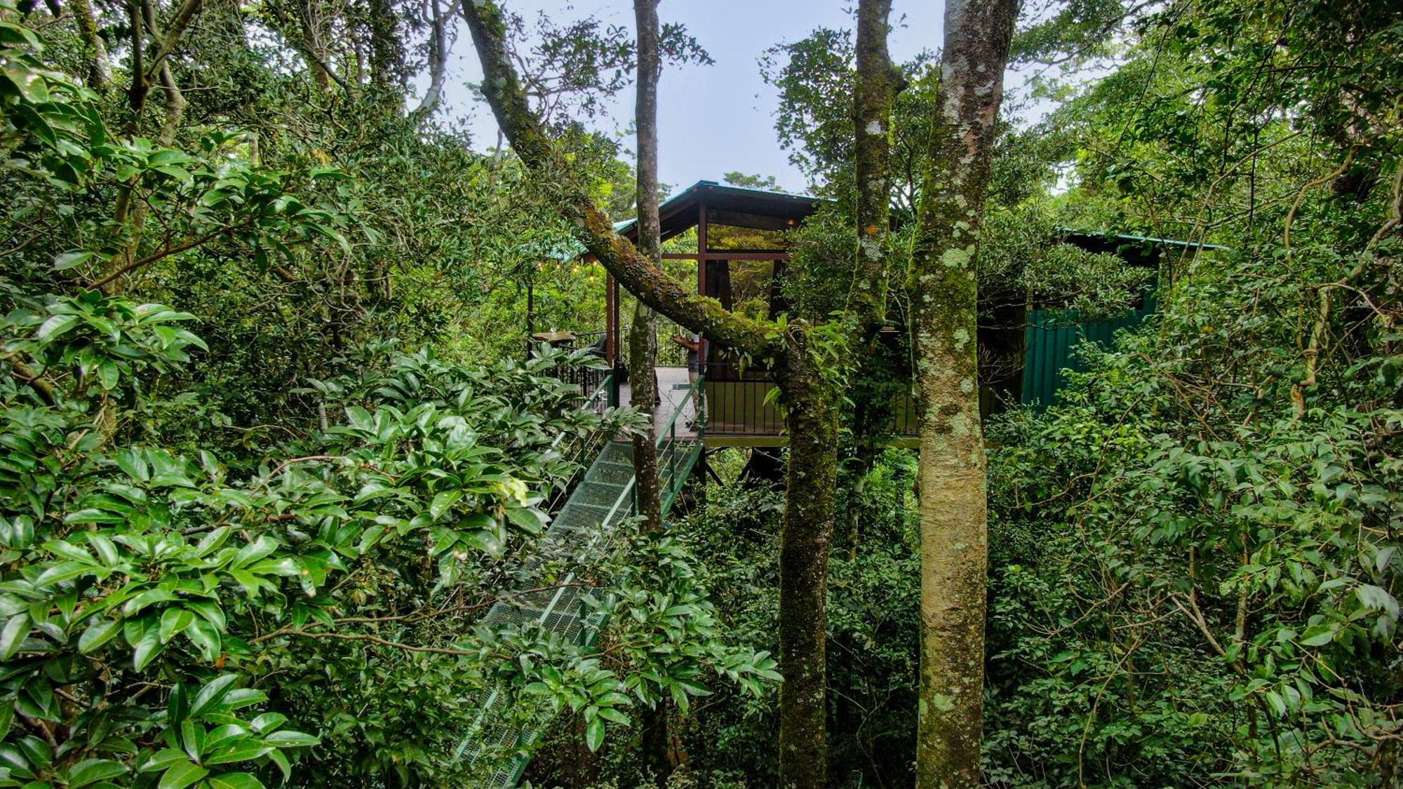 Cabanas La Montana Monteverde Exterior photo