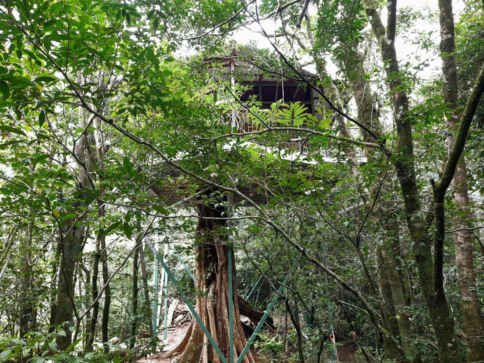 Cabanas La Montana Monteverde Exterior photo