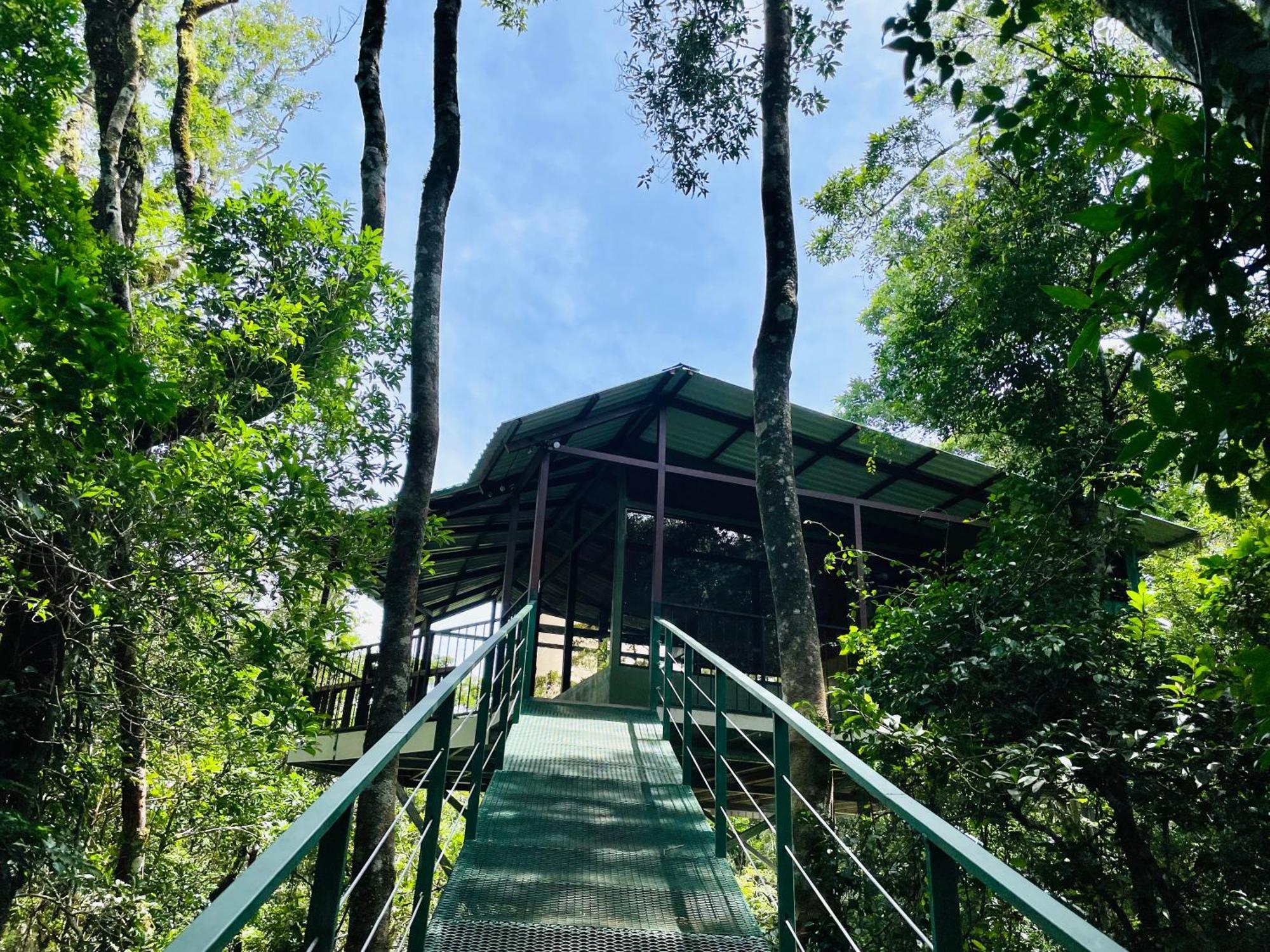 Cabanas La Montana Monteverde Exterior photo