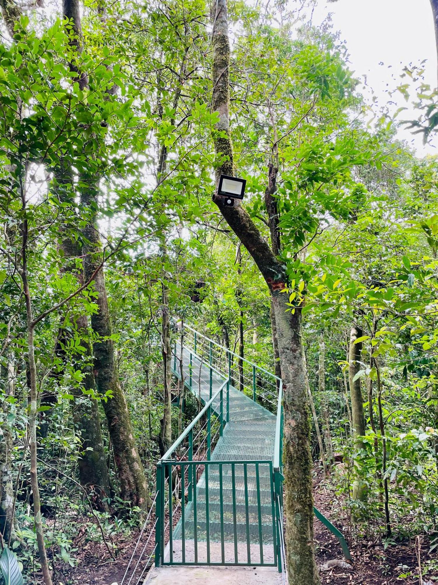 Cabanas La Montana Monteverde Exterior photo