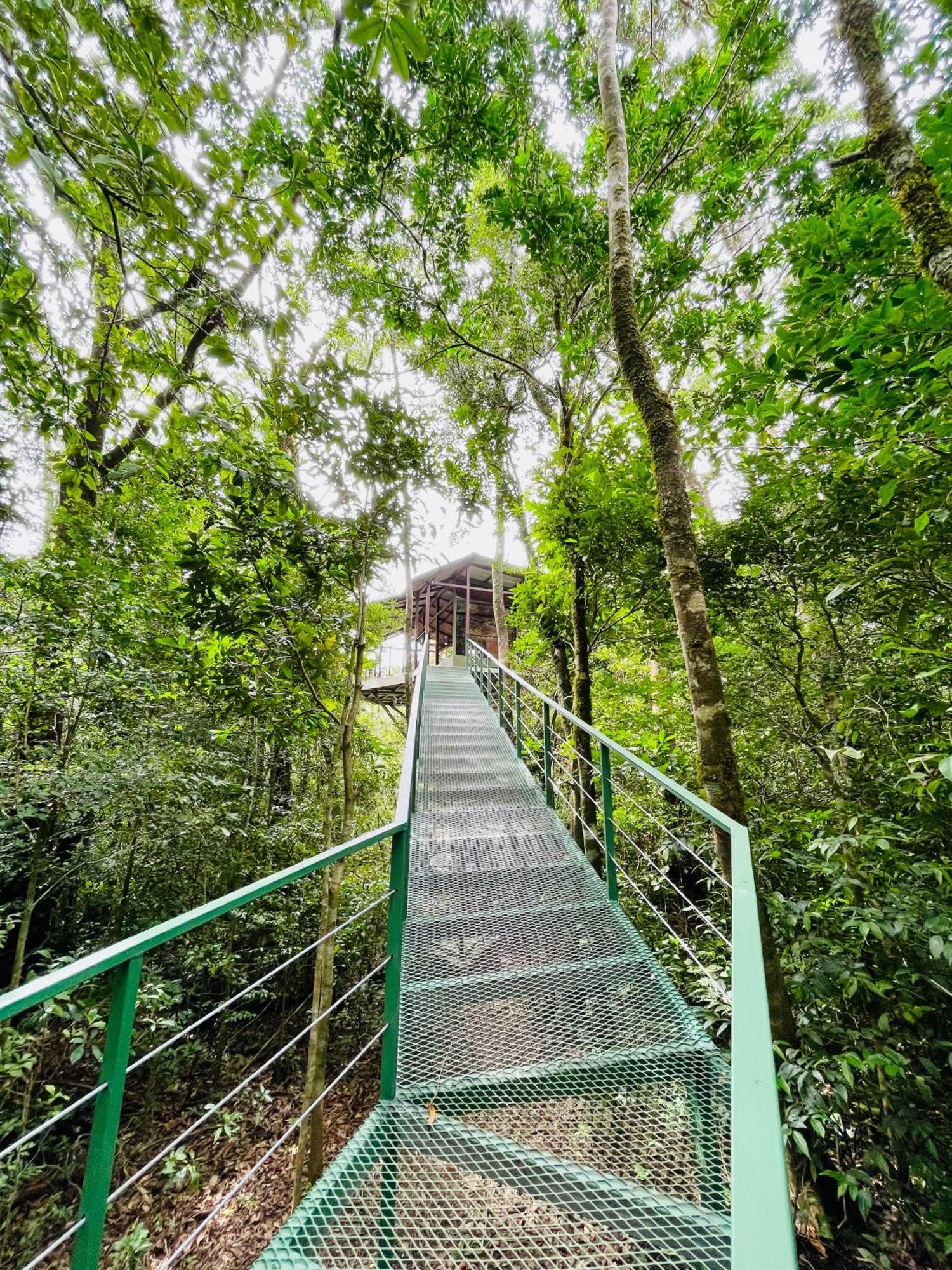 Cabanas La Montana Monteverde Exterior photo